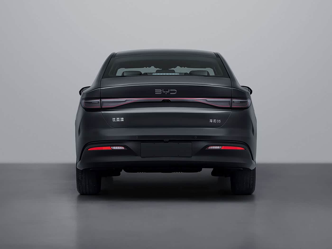BYD Sealion 05 DM ADAS visualization