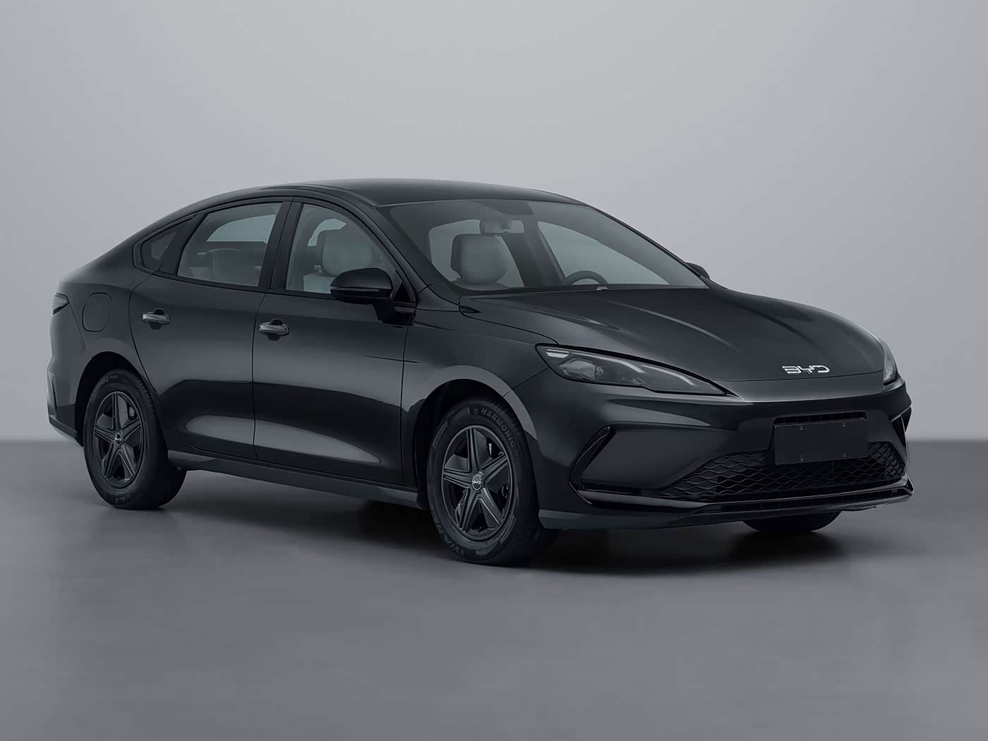 BYD Sealion 05 DM family-friendly practicality